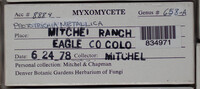 Image Associated With the Occurence